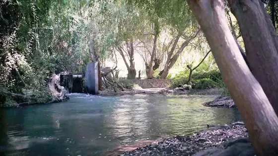 En Venta Terreno Plano De 5000 M2 Con Luz Y Agua En Coltauco