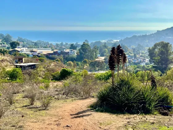 En Venta Gran Terreno En Consolidado Condominio De Zapallar