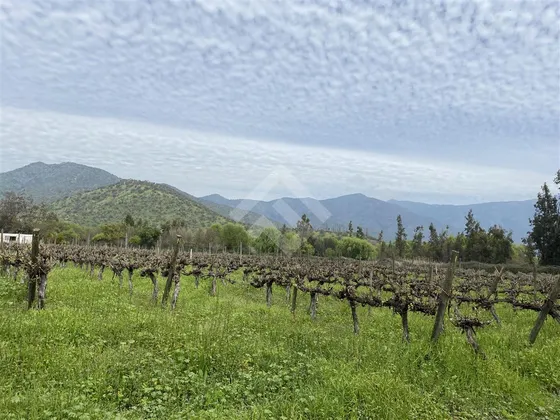 Sitio 6,7 Hectareas Agricola, Luz , Agua Vendo Isla De Maipo
