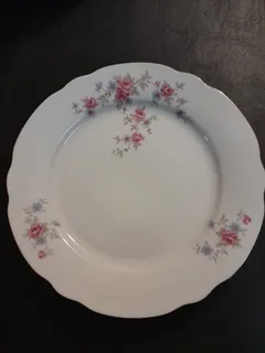 Platos de porcelana usados hotsell