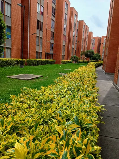 Apartamento Bosa Conjunto Parque Malpelo 1