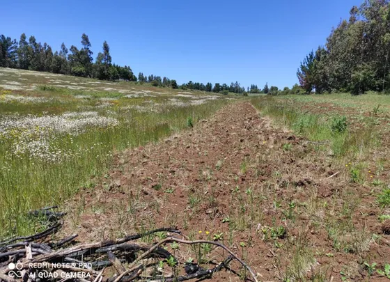 Terreno A  25 Minuto De Temuco Indigena