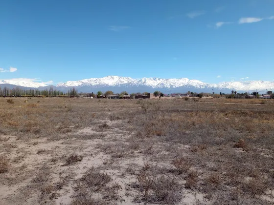 Parcela Para Loteo En Valle De Uco, Mendoza (5 Ha)
