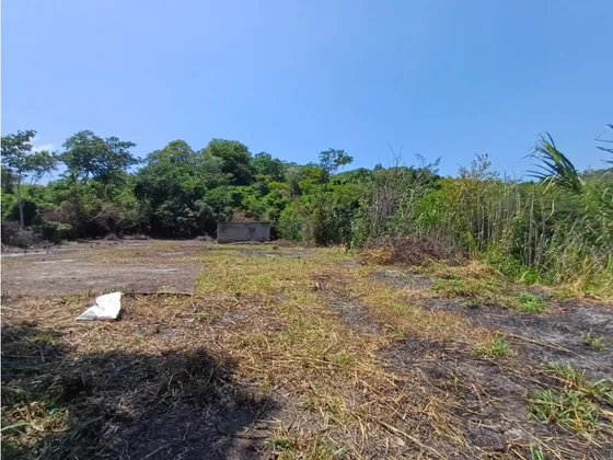Venta De Terreno En Chuspa Estado La Guaira 10.000 M2 (yd)