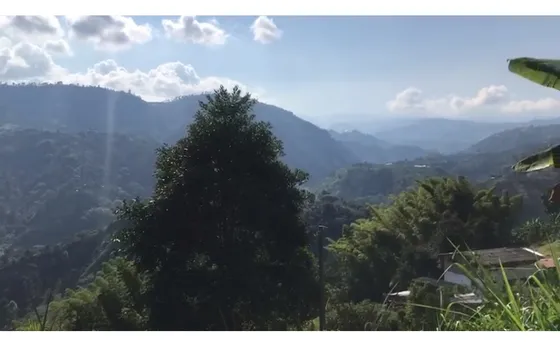 Venta Lote Barato En Alto Del Naranjo Manizales | Lotes En Venta