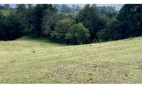 Lote Comercial Ubicado En El Alto De Palmas Antes Del Peaje 