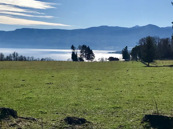  Parcelas En Pucón En Venta, El Mejor Lugar Frente Al Lago