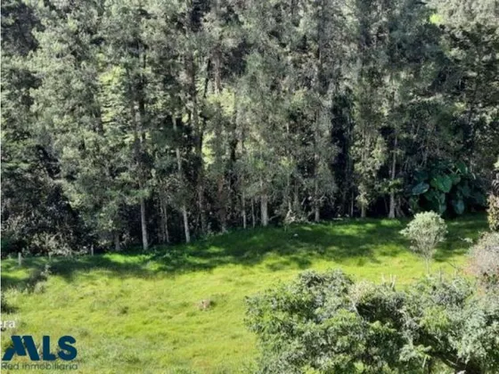 Finca Independiente En Envigado(mls#242427)