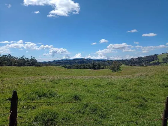 Lote Independiente En Venta Ubicado En Envigado Alto De Las Palmas (25981).