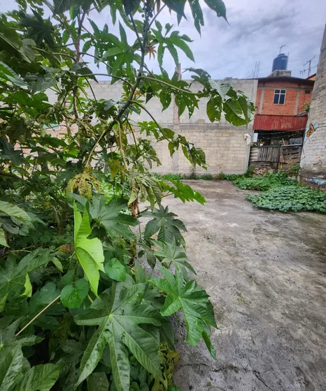 Terreno En Venta