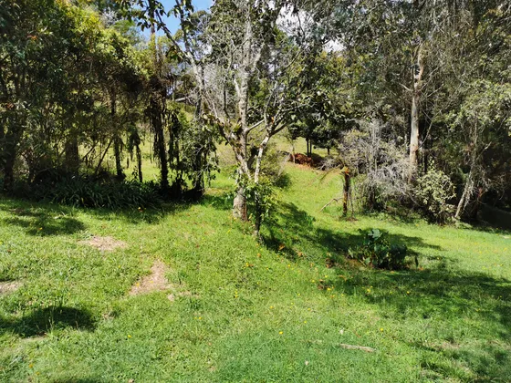 Venta De Lote En El Alto De Las Palmas