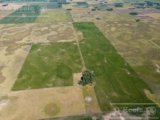 Campo  En Venta Mixto De 246 Has En Saladillo