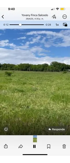 Finca Ganadera Sfm De Macoris