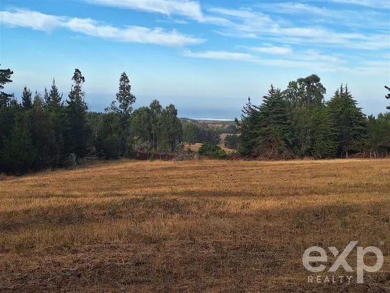 Parcela 3 Has. En Venta En Pichilemu