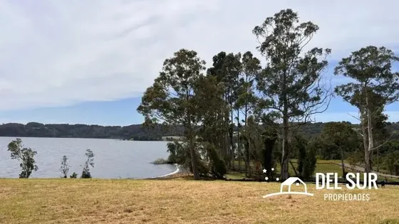 Parcela A Orilla De Lago Llanquihue Cercana A Puerto Octay