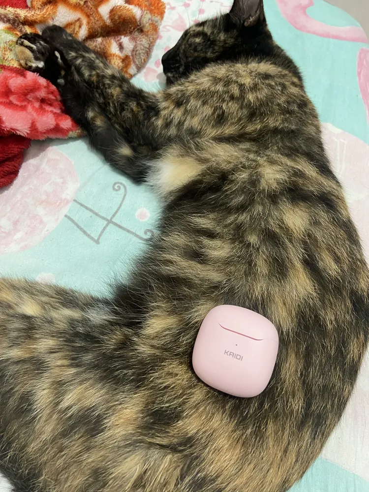 Foto de usuário do Fone Kaidi KD771