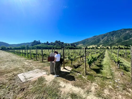Vendo Terreno Apalta Colchagua Condominio Wine Lot