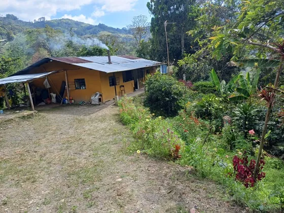 Se Vende Finca Cafetera