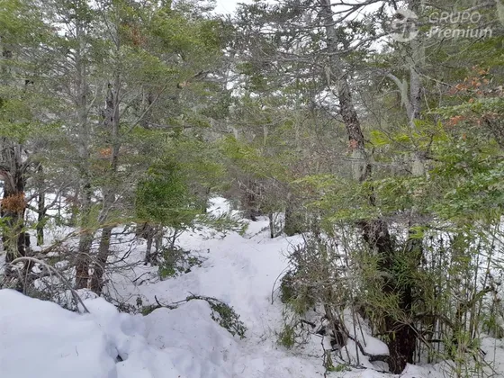 Sitio En Venta En Las Trancas Camino A Termas De Chillán