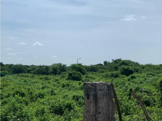 Lote Industrial En Arriendo En Soledad, Atlántico