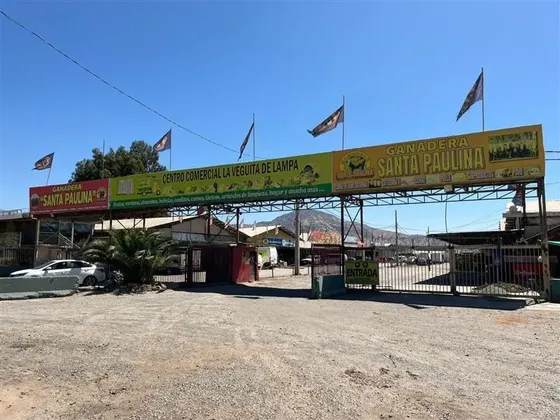 Venta De Propiedad Con Renta En Lampa Id 76.871-lin