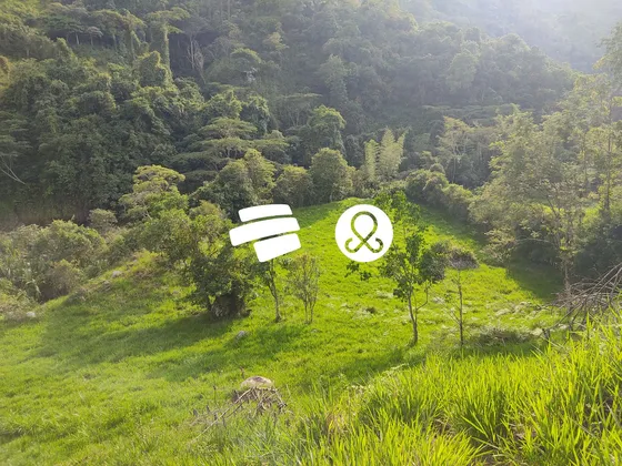 Finca En Venta En San Francisco Undefined Habitaciones