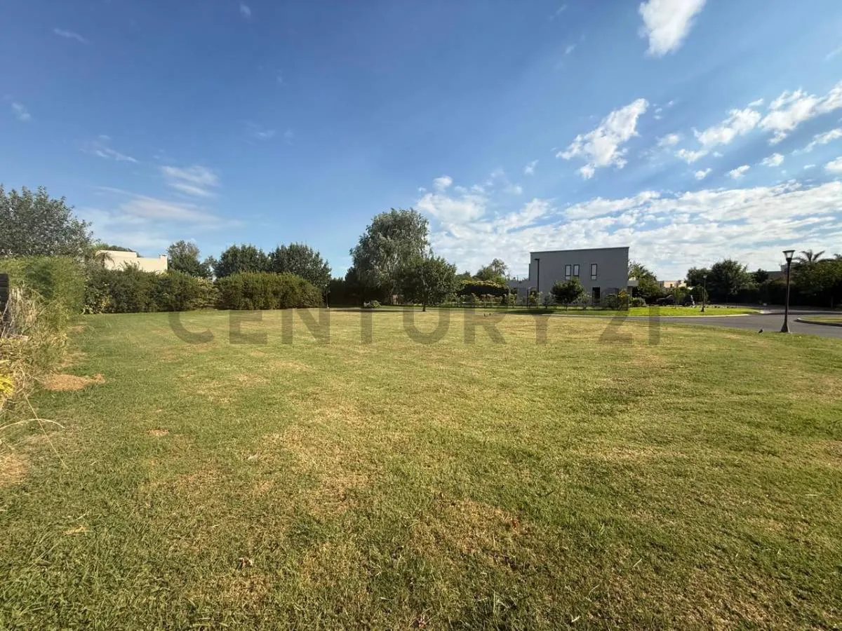Lote Haras Santa Maria