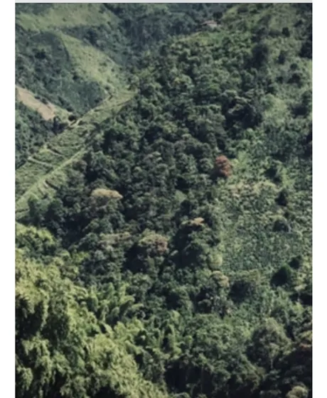 Venta Lote En Bajo Tablazo, Manizales