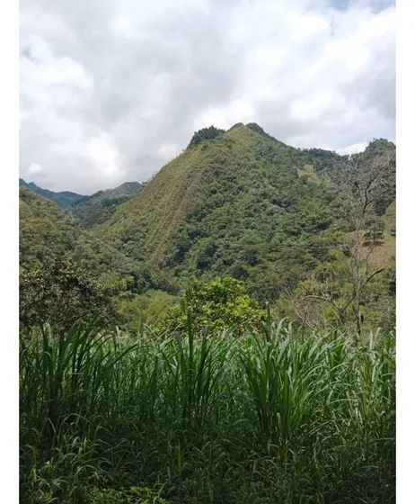 Vendo Finca En La Vega Cundinamarca 