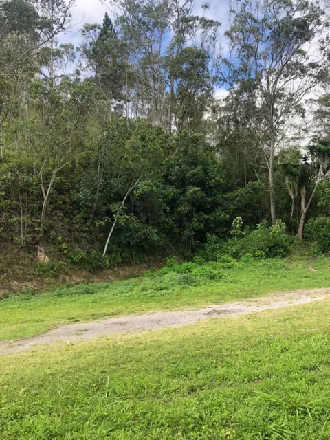 Vendo Lote De Terreno De 2 Hectáreas + Bienhechuria