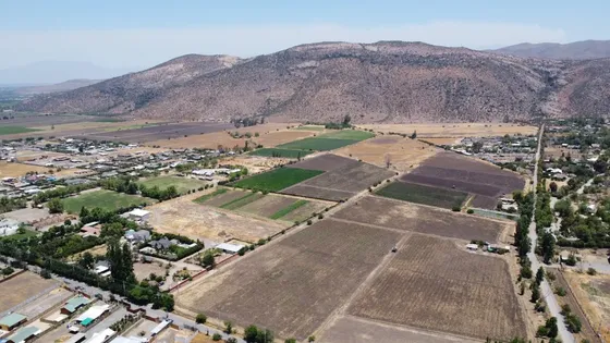 5,6 Hectáreas En Colina