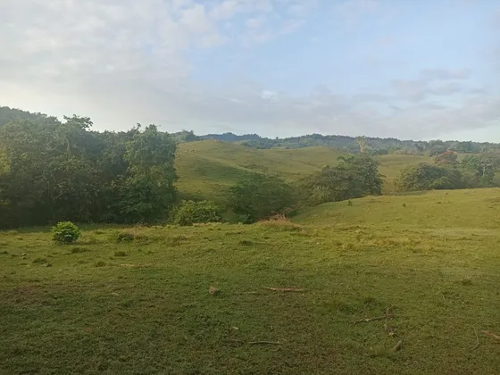 Finca Ganadera De Oportunidad A Solo 45 Minutos De La Ciudad 