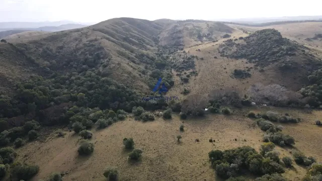 Venta Campo  92 Hectáreas Minas Lavalleja
