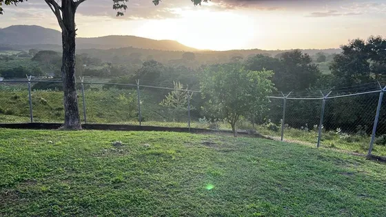 Inmobipiña Vende Finca Via Caruachi A 30 Min De Puerto Ordaz, Estado Bolivar, Lp