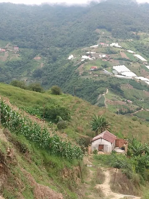 Terreno En Venta En La Colonia Tovar