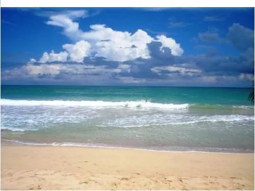 Solar De 1500,000 De Metros Con Playa De 500m2 Uvero Alto Punta Cana A 90 Dolares X Metro Cuadrado 