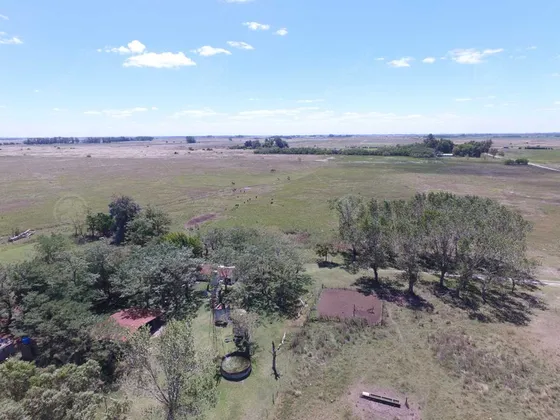 450 Has - Campo Ganadero En Venta A Metros De Ruta !!!