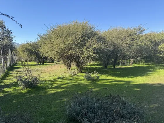 Vendo Sitios De 5000m2 En Maitenhuapi, San Rafael.