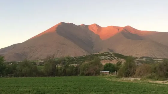 Sector Peralillo - Vicuña
