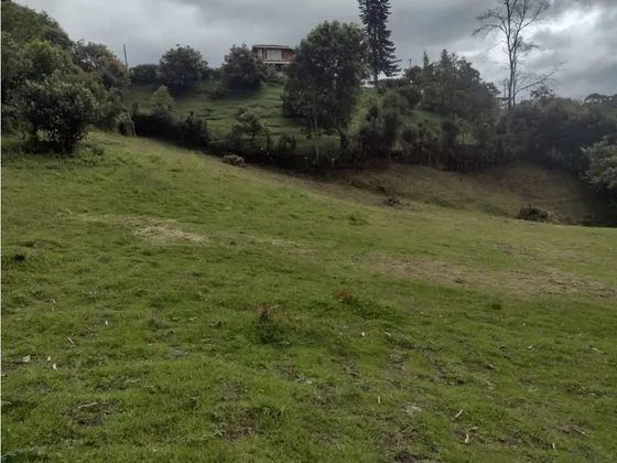 Lote Guarne Vereda La Honda En Proindiviso