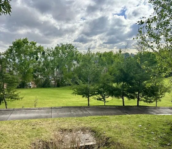En Venta Terreno En Bosque Real