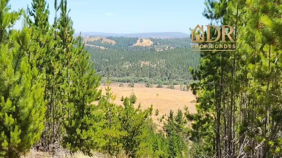 Parcela Aires Del Quillay | Ruta I494 Pichilemuparedones