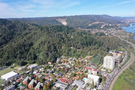 Venta De Terreno En Concepción Id 74.801-lin