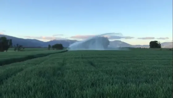 Agrícola En Venta En Victoria