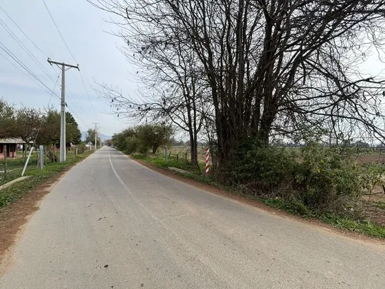 Terreno Agrícola De 1 Hectárea Con Agua De Riego Llaveria