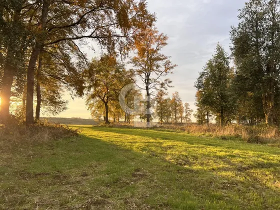 Parcela Con Bosque Nativo Y Río En Condominio Privado