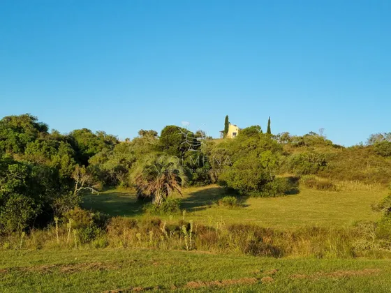Paraje Las Cañas Campo De  12 Hás Com Muy Linda Casa