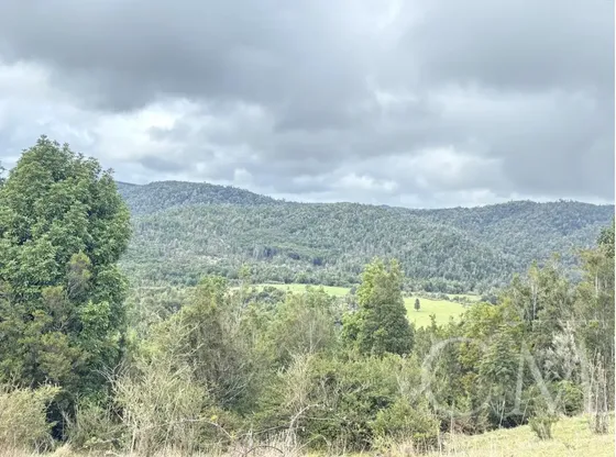 Fundo En Los Muermos , Sector Estaquilla