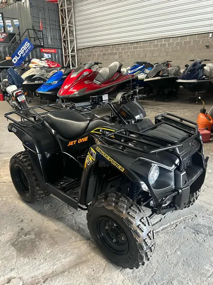 Kawasaki Bruce Forcé 300 2014