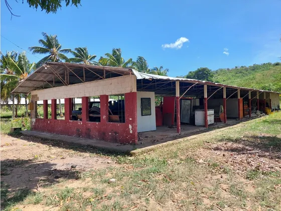 Se Vende Galpon En Playa Grande Ve10-1560pg-rgon